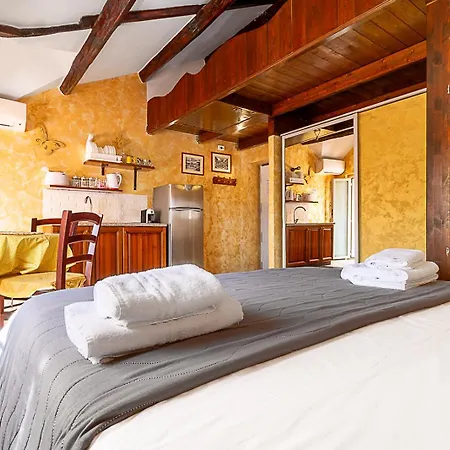 Vatican Gold Loft Apartment *